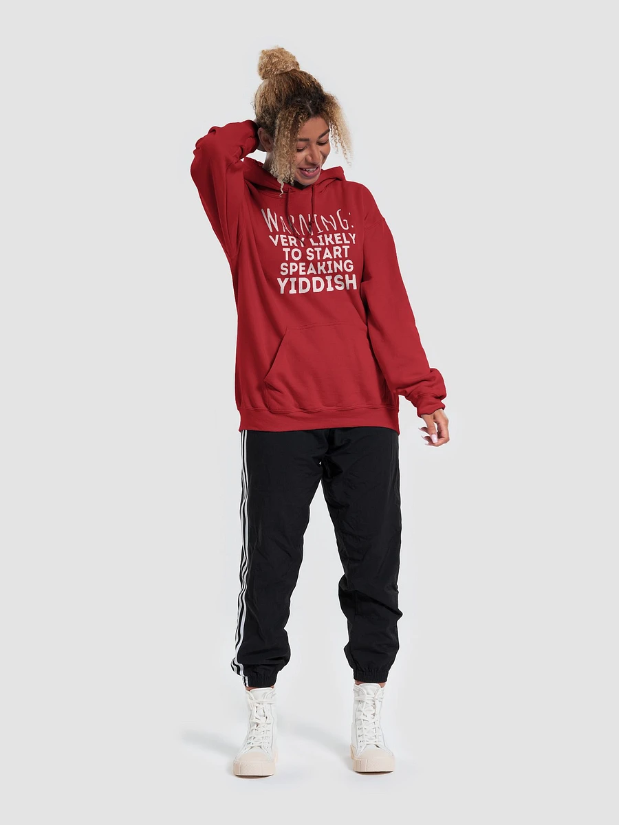 Speaking Yiddish Warning Hoodie product image (7)