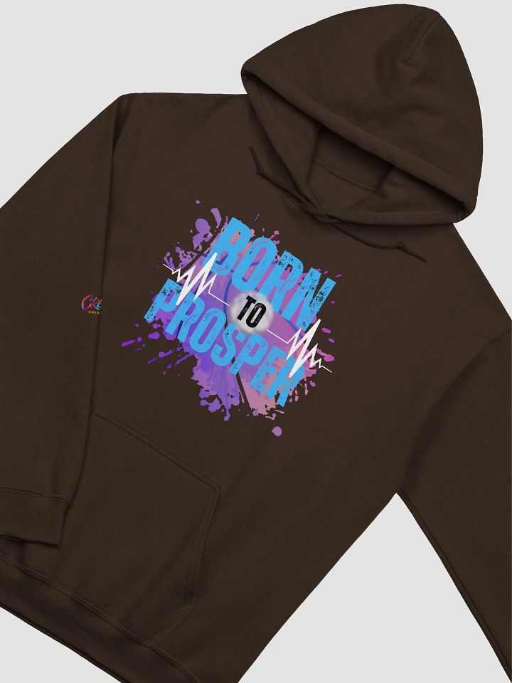 Born to Prosper Hoodie product image (2)