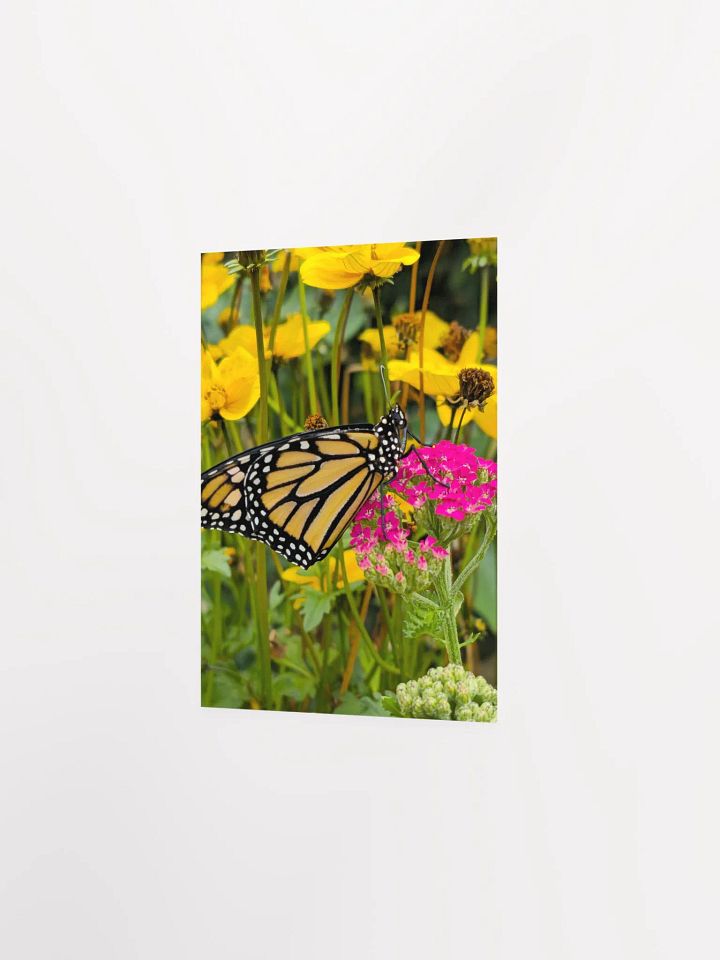 Tropical Monarch Butterfly Matte Poster 5x7" product image (2)
