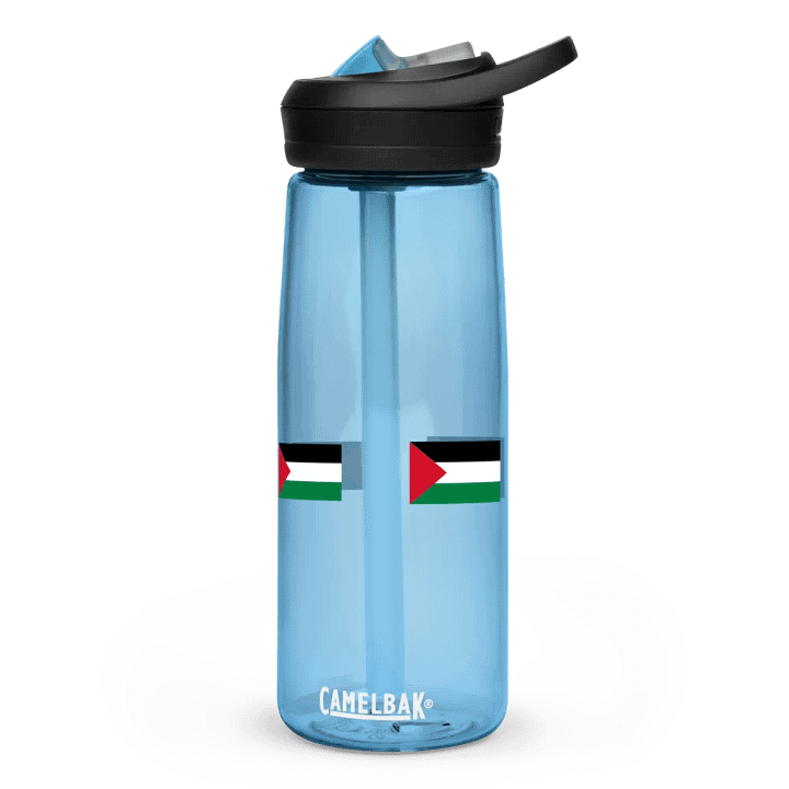 FREE PALESTINE sports bottle product image (1)