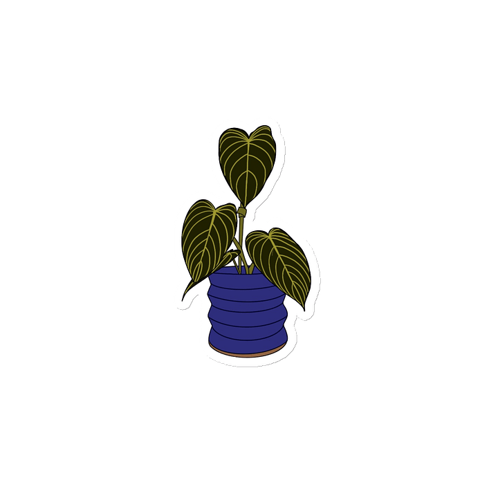 philodendron gloriosum magnet product image (2)