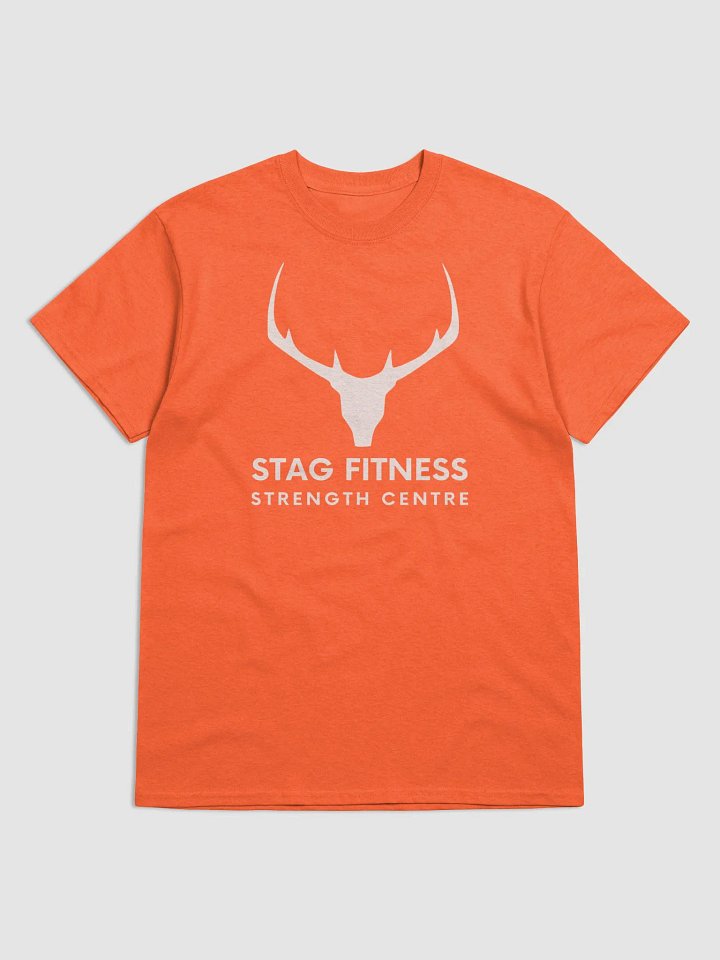 Gildan Heavyweight T-Shirt - Large Logo product image (1)