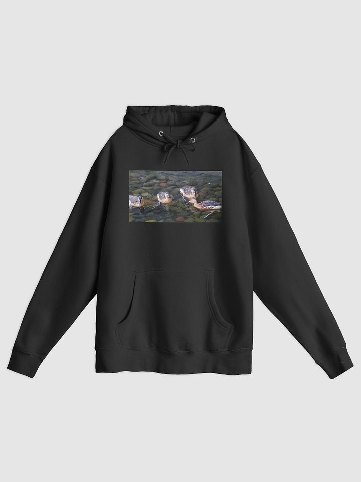 Quack Comfort Hoodie product image (1)