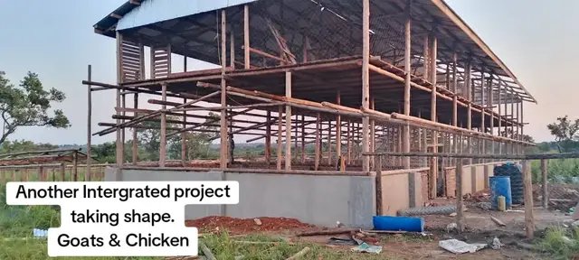this project is being constructed in Gulu District #layout #kimd #farmplan #pastures #goats #uganda 