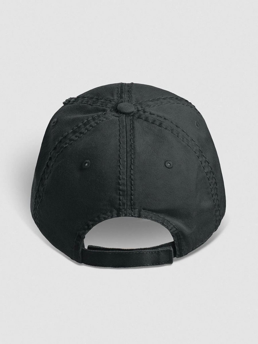 Spinning FyreFlye Dad Hat product image (14)