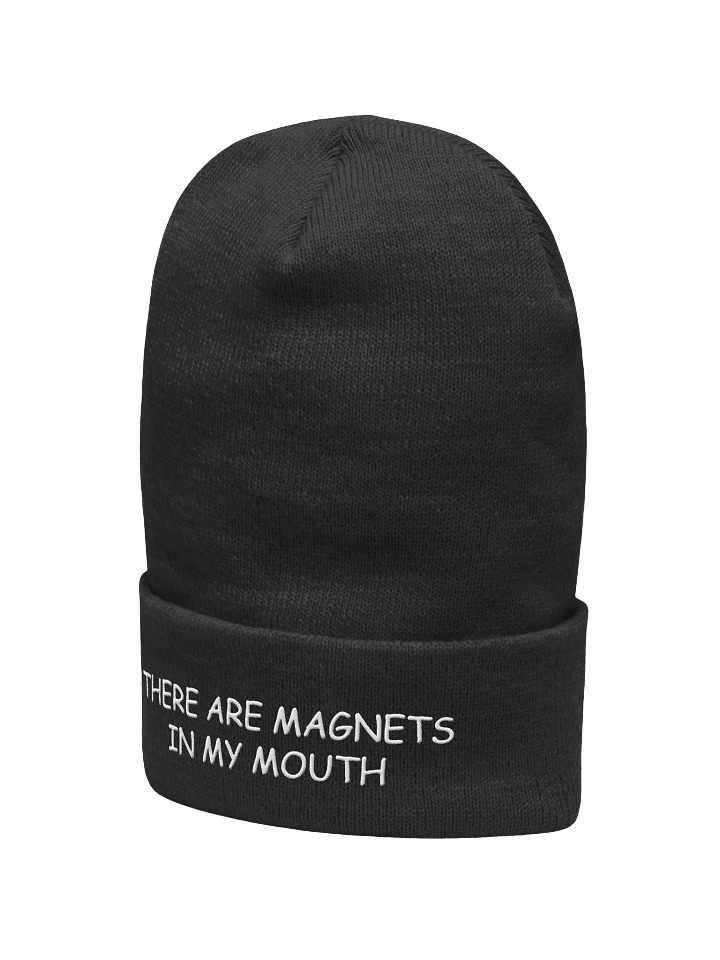 magnets beanie product image (2)
