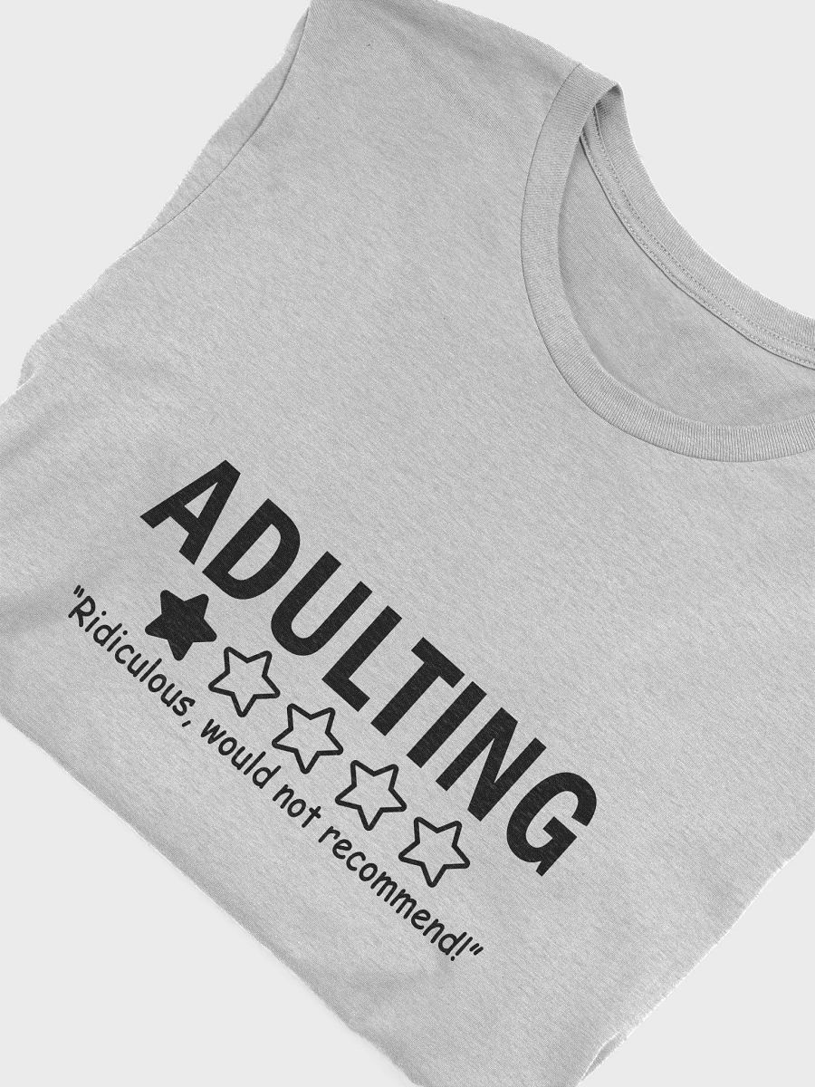 adulting product image (41)