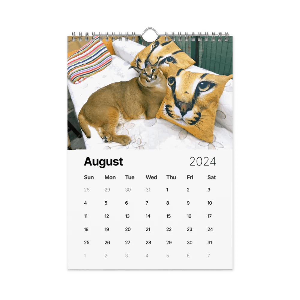 FLOPPA CALENDAR FOR 2024 product image (7)