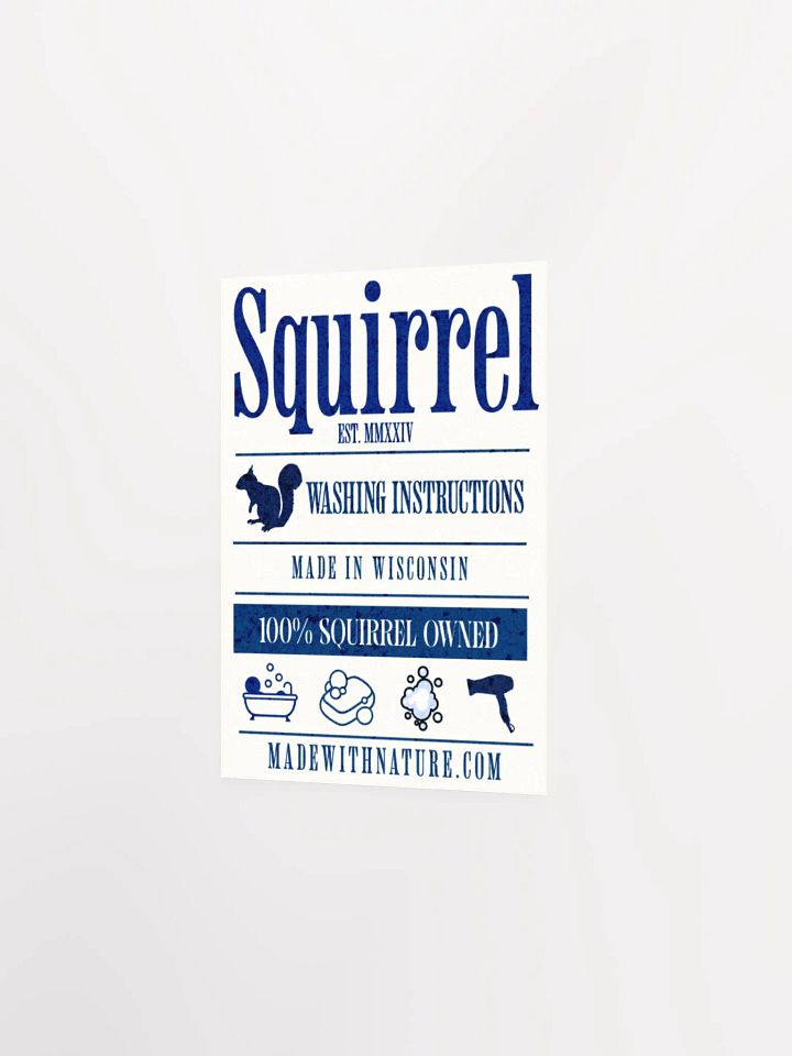 SQUIRREL WASHING INSTRUCTIONS PRINT product image (11)