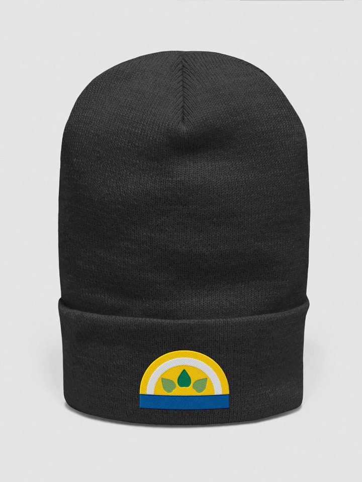 Sun winter cap product image (1)