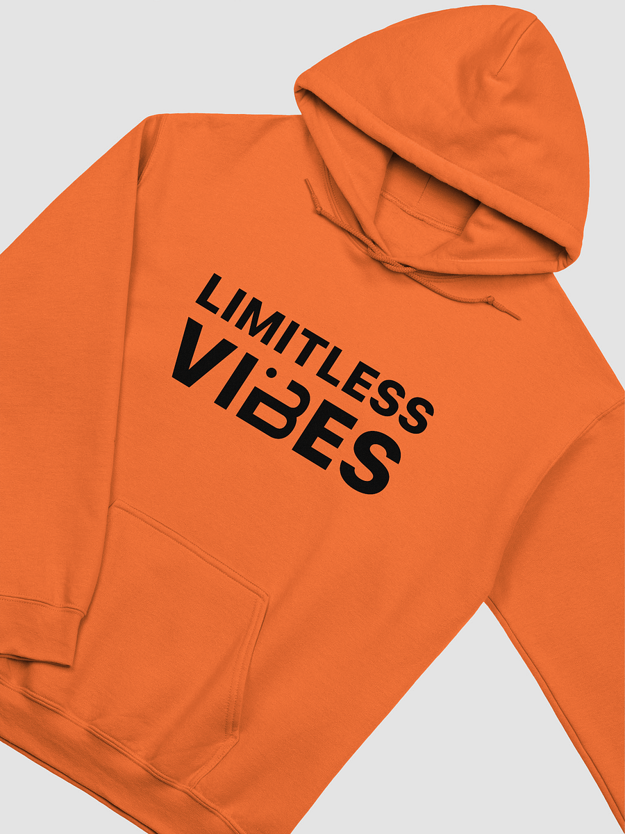 BUIII Limitless Vibes Hoodie product image (10)