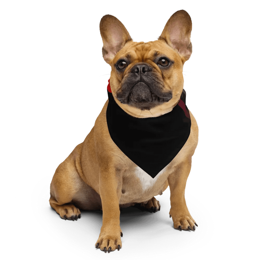 WS Bandana With Pattern product image (6)