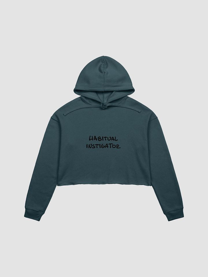 Habitual Instigator cropped hoodie product image (2)