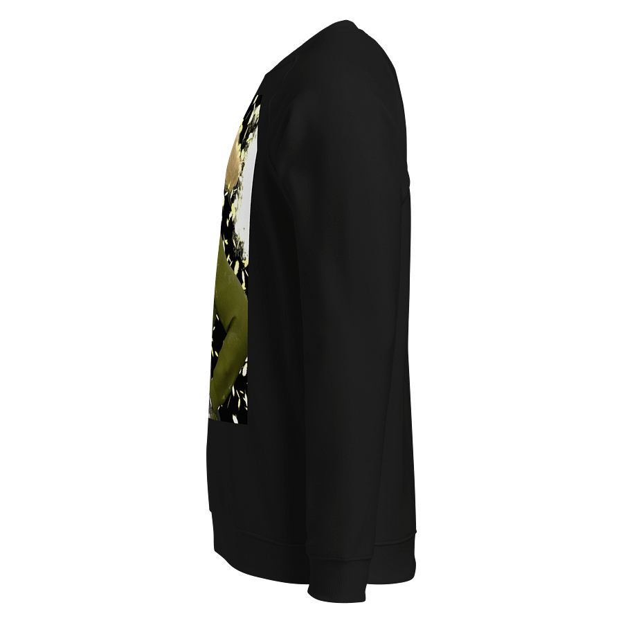 Abstract Splatter Organic Raglan Sweatshirt product image (8)