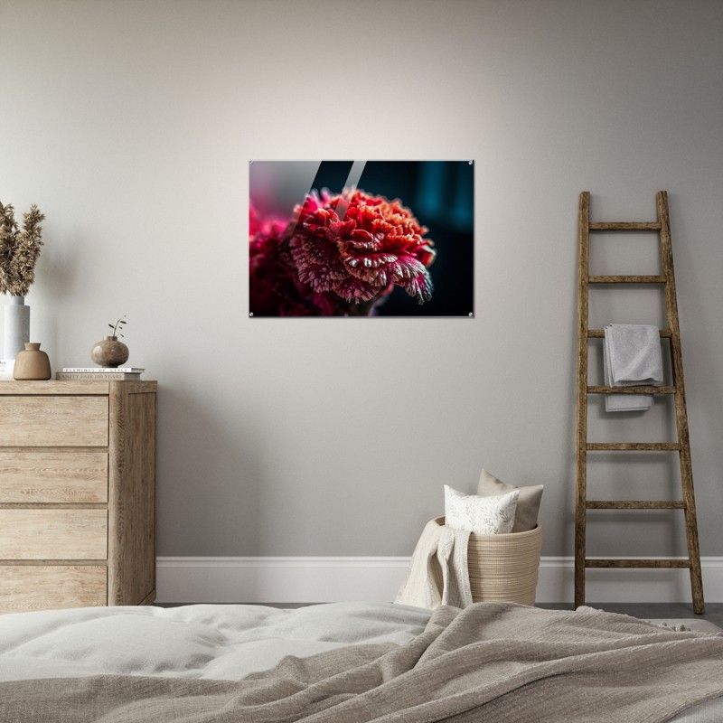 BLACK RED GLOSSY ACRYLIC PRINT product image (6)