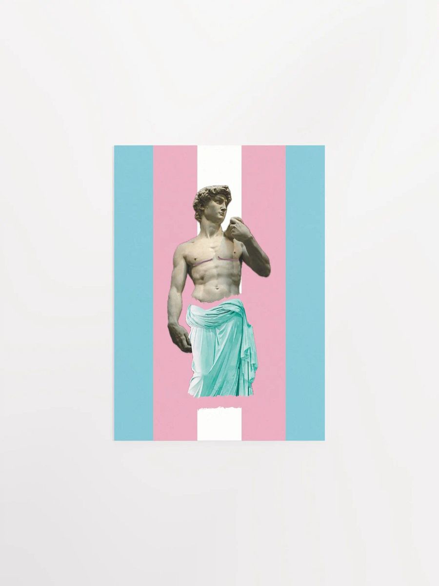 Trans Day of Visibility 1 Poster product image (1)