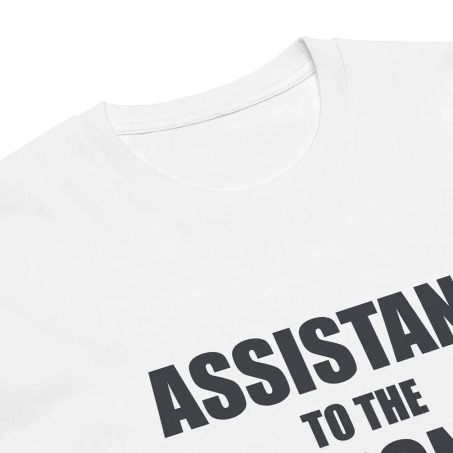 Assistant to the Regional Manager Unisex Premium T-Shirt product image (6)