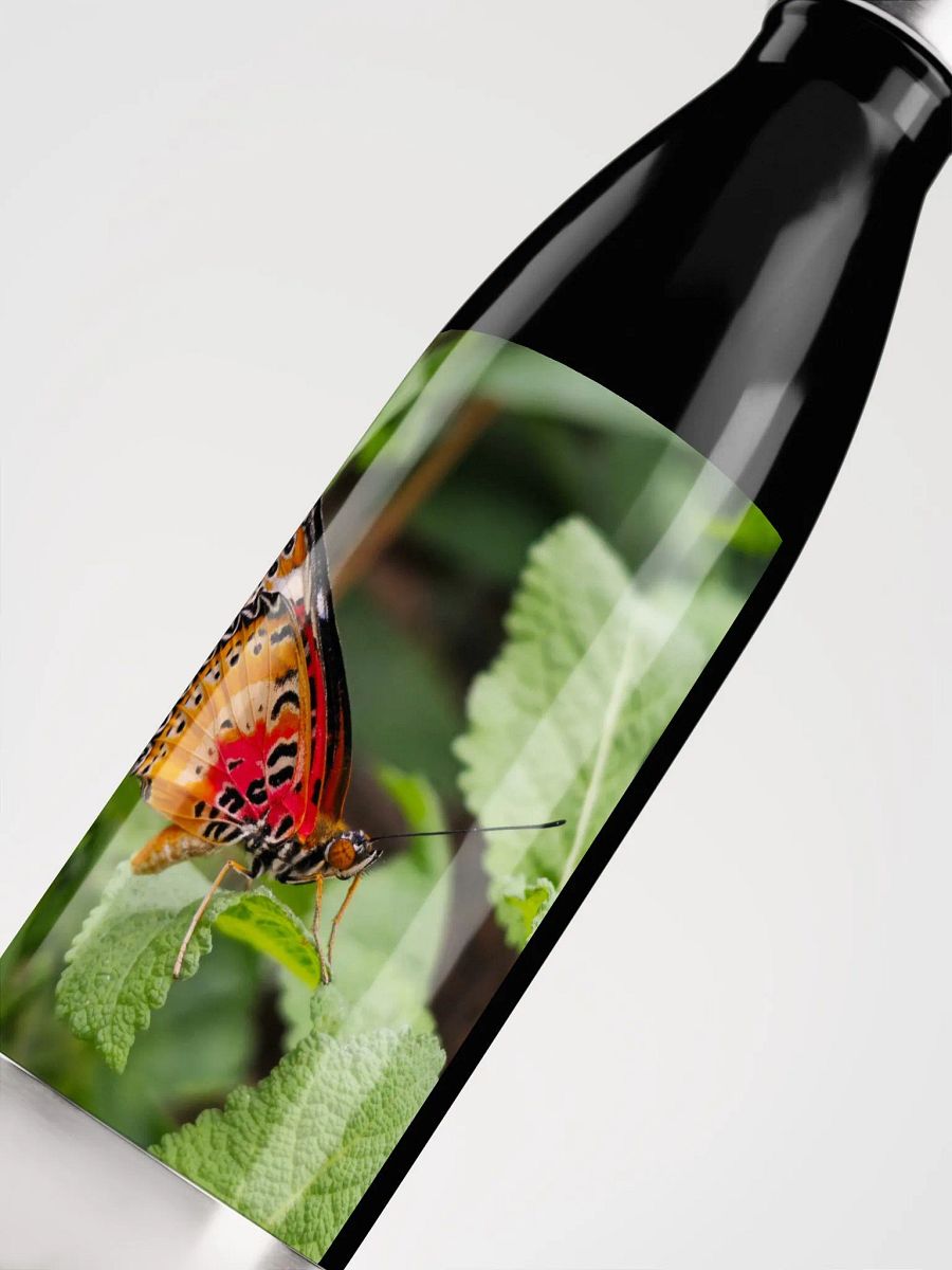 Lacewing Tropical Butterfly Stainless Steel Water Bottle product image (5)
