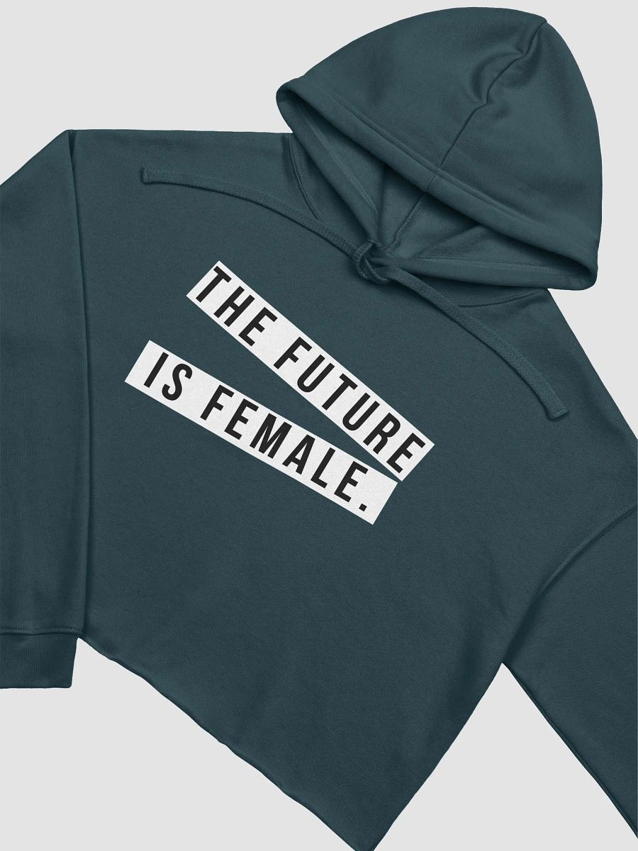NEWSFLASH: THE FUTURE IS FEMALE CROPPED HOODIE, product image (16)