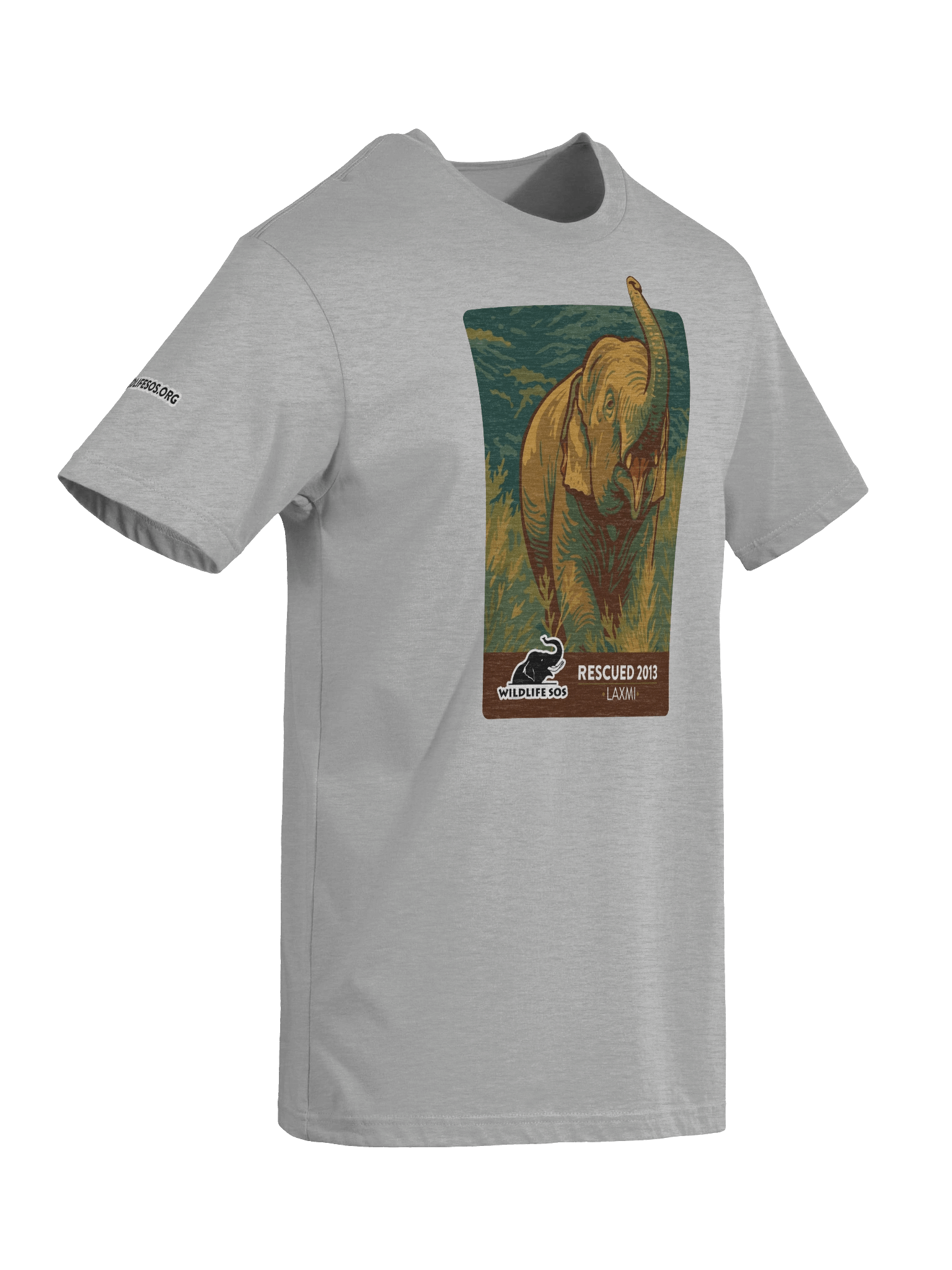 Laxmi - Rescued 2013! product image (34)