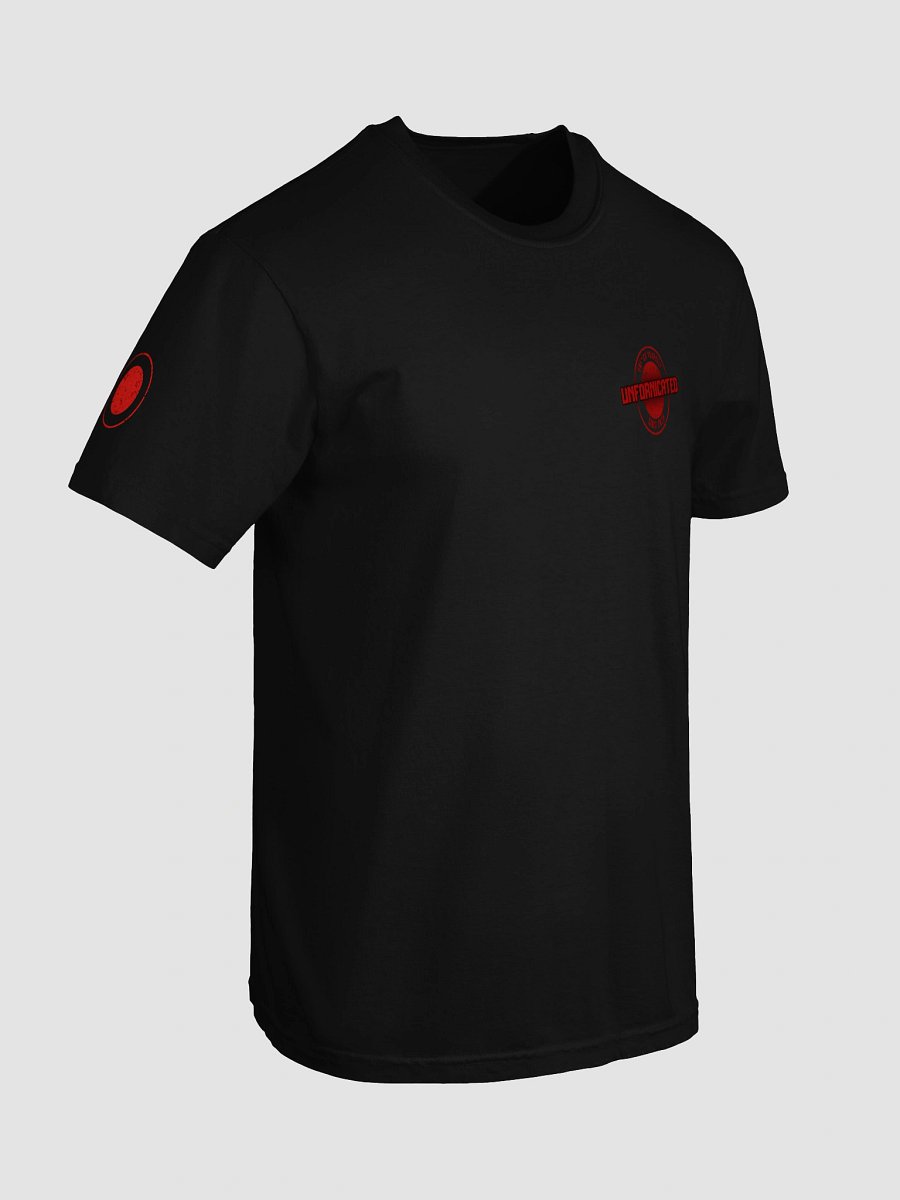 The Unfornicated Files: DECLASSIFIED Relaxed Tee product image (7)