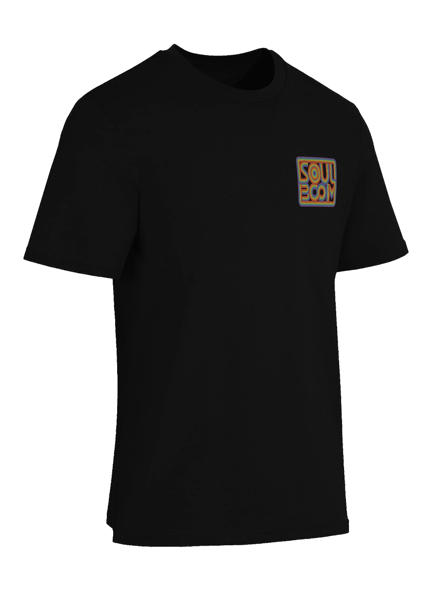 Smaller Rainbow Logo Shirt (100% Organic Cotton) product image (9)