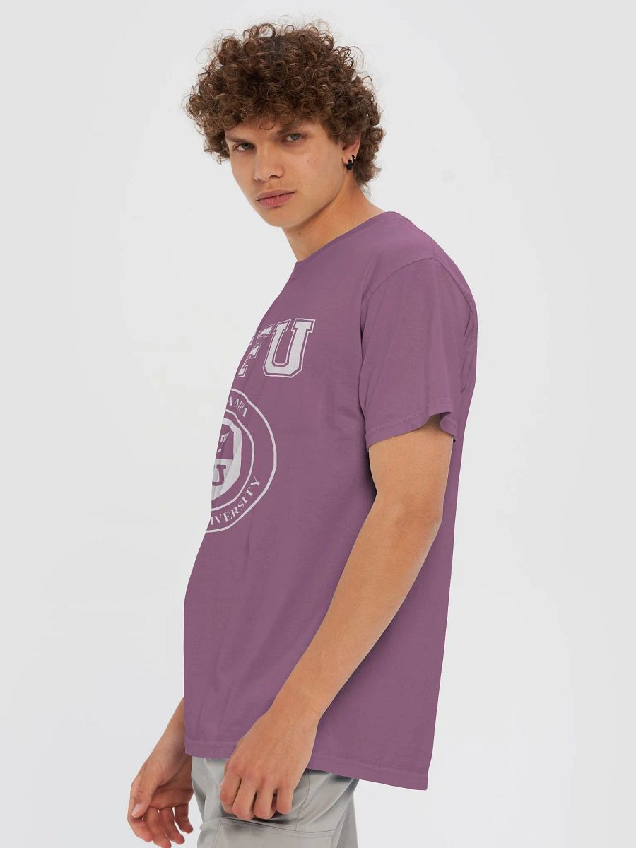 STFU Garment-Dyed Heavyweight T-Shirt / Dark Colors product image (6)