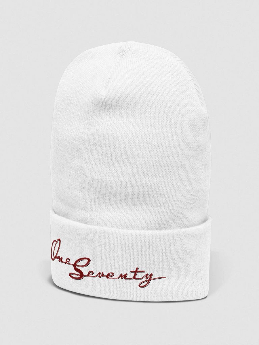 One Seventy Collectable Cuffed Beanie product image (5)