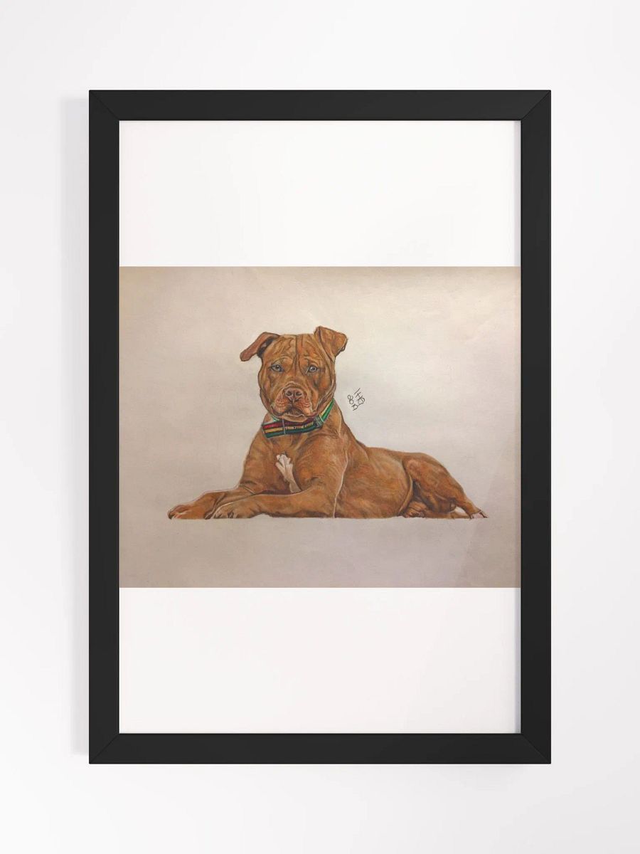 Pitbull Colored Pencil Drawing Framed Print product image (1)