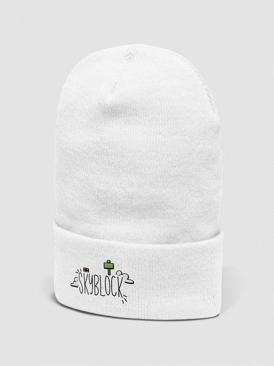 Skyblock Beanie product image (2)