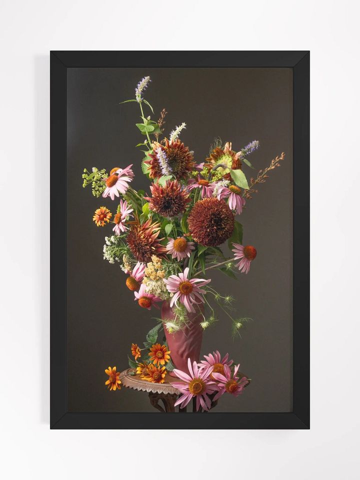 Echinacea Summer II product image (1)