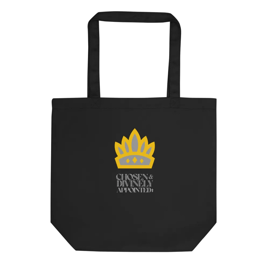 Chosen and Divinely Appointed product image (1)