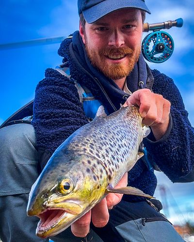 Overraskende fangst inne i båthavna! 🎣 
Sjøørreten beit på der det var ålegras på bunnen, perfekt vanntemperatur og lite strø...