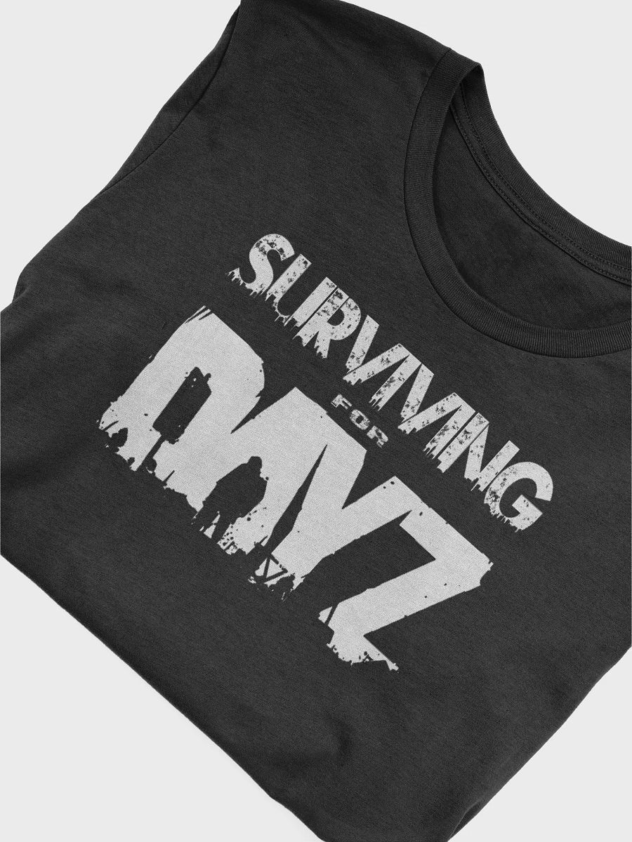 DayZ product image (27)