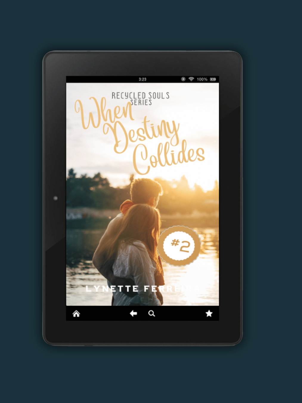 When Destiny Collides (Recycled Souls #2) product image (1)