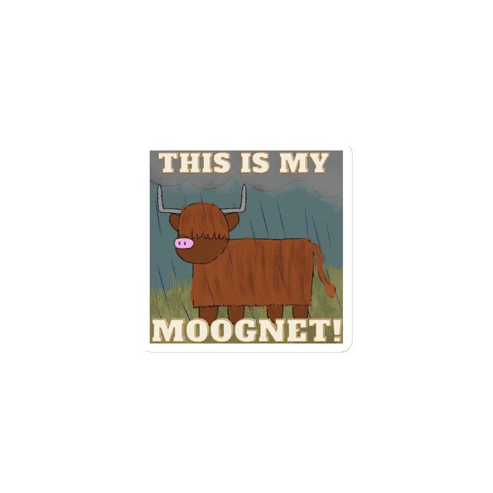 The MOOGNET product image (1)