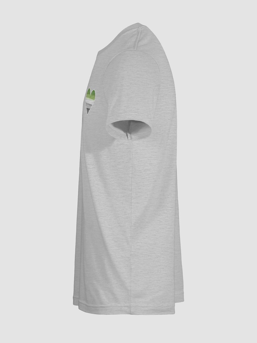 Aromantic Pride TShirt product image (11)