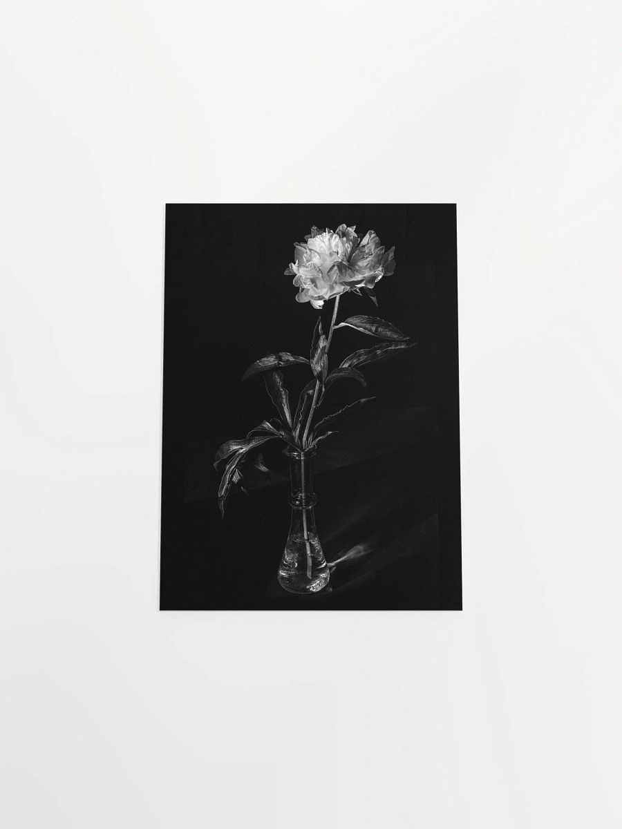 Peony in the Dark - Print product image (5)