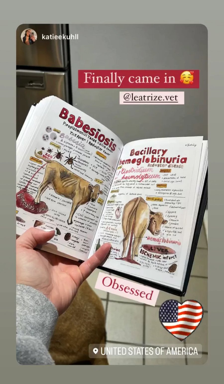 Vet Notes: Farm Animal Disease product image (2)