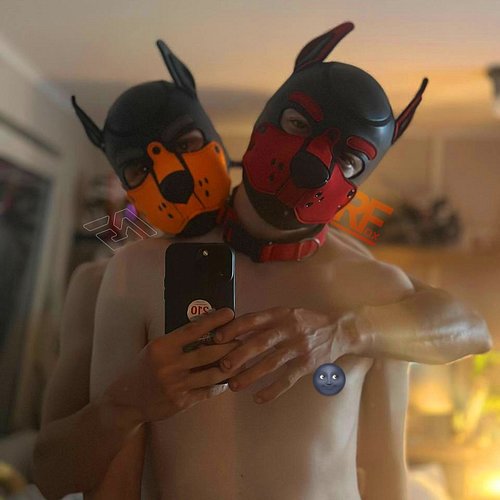 Two dogs just cuddling 🥰

Image By: @ksk_nachtigall