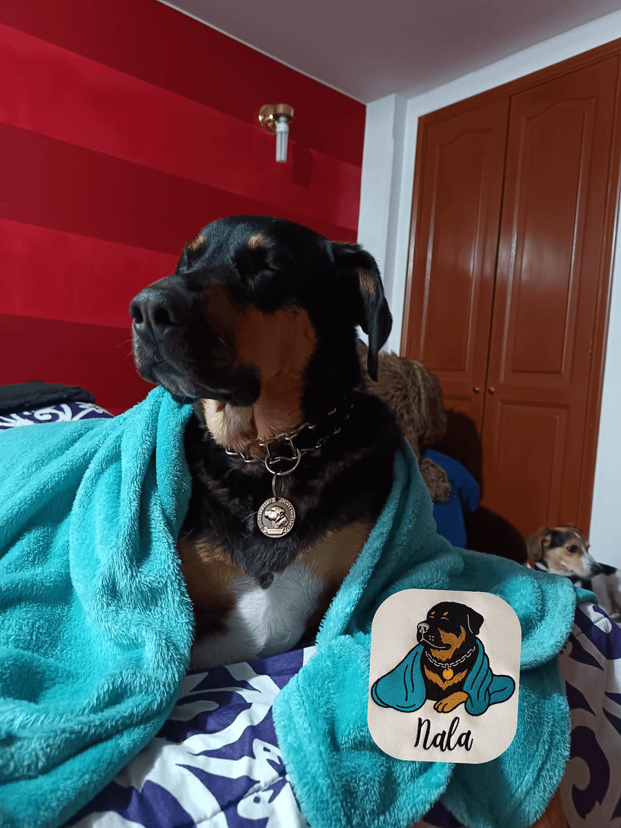 NALA💙 / EMBROIDERED HOODIE product image (5)
