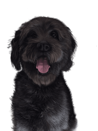 Dog walker cup! product image (2)
