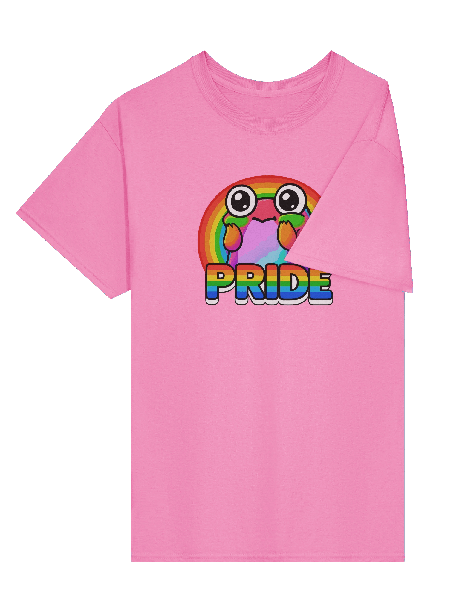 Rainbow Pride Frog T-Shirt product image (27)