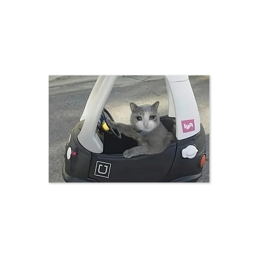 Greening Card: Meme Cats driving product image (22)