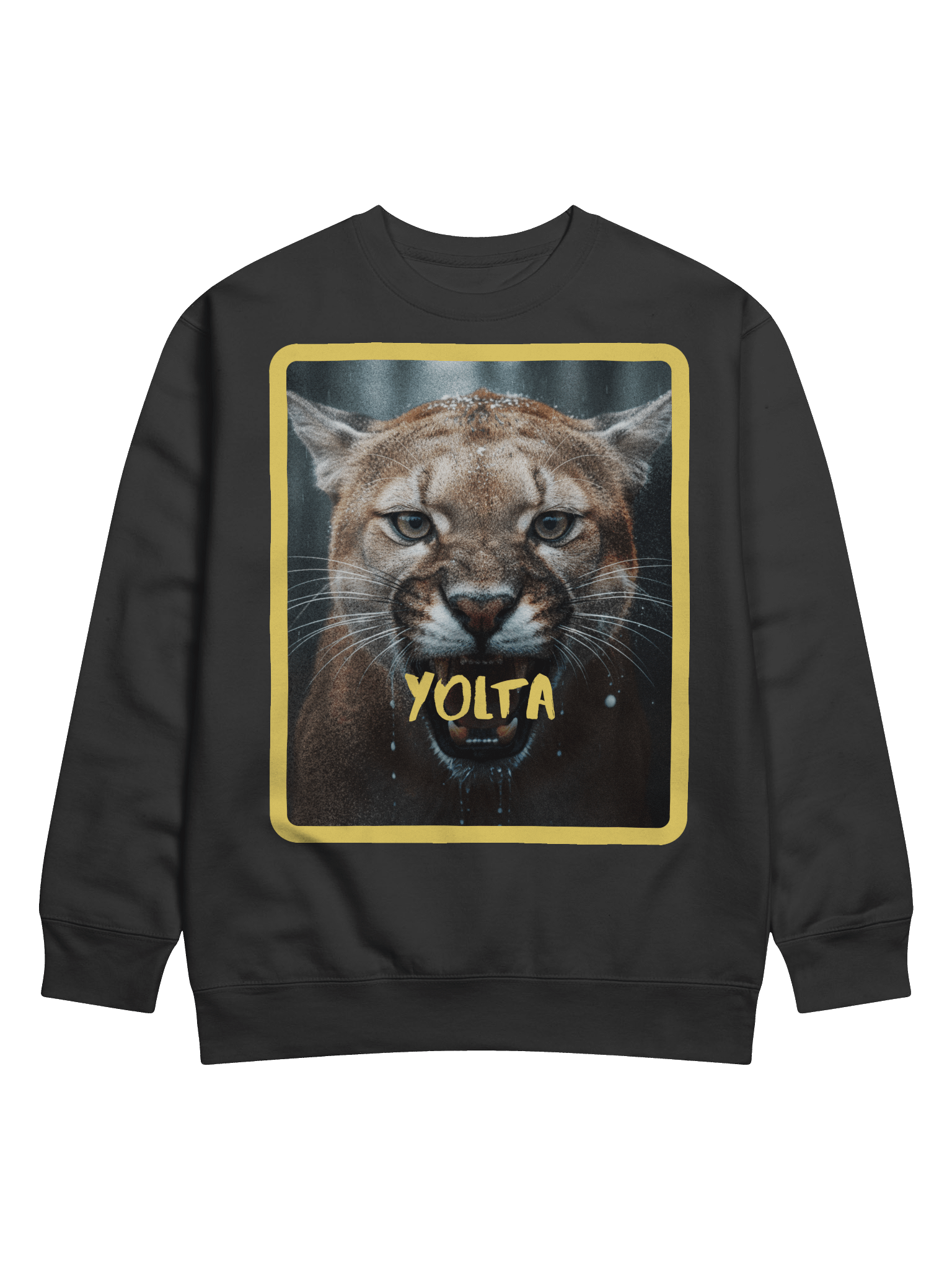 The Puma Sweatshirt product image (1)