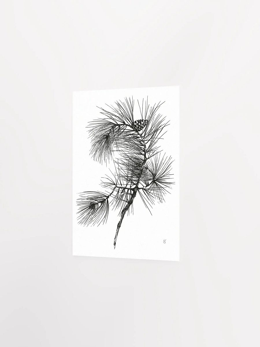 Whimsical Pine Branch Poster - Pine Branch product image (2)