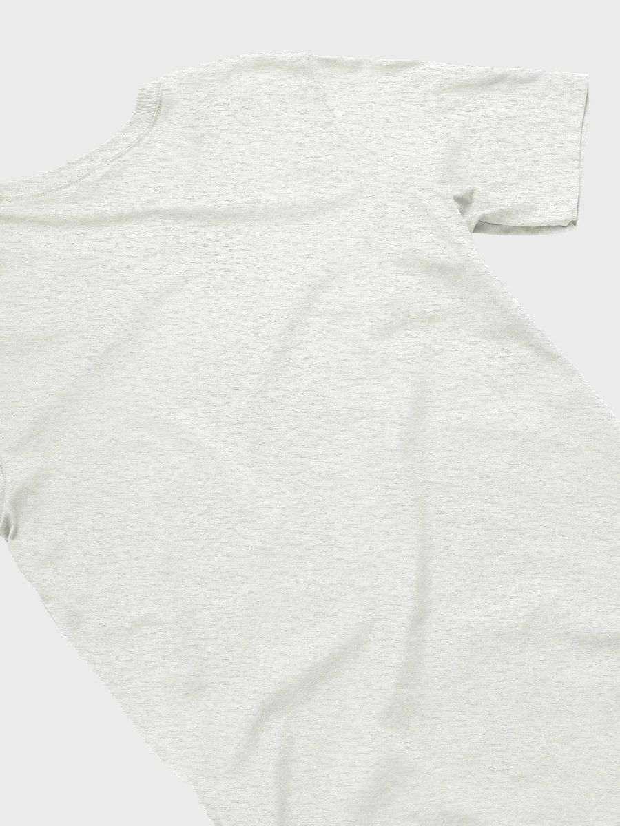 Reunion Tee with Retro Wellesley Flag product image (4)