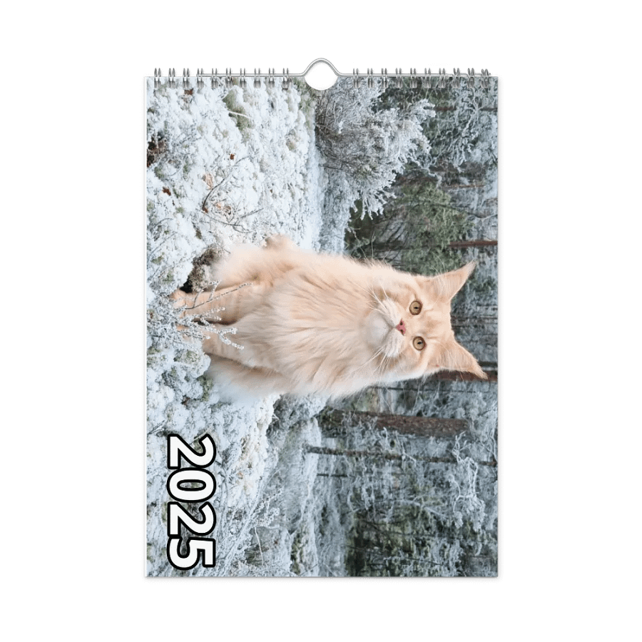 2025 Calendar - Maine Coon Adventures + Kittens product image (3)