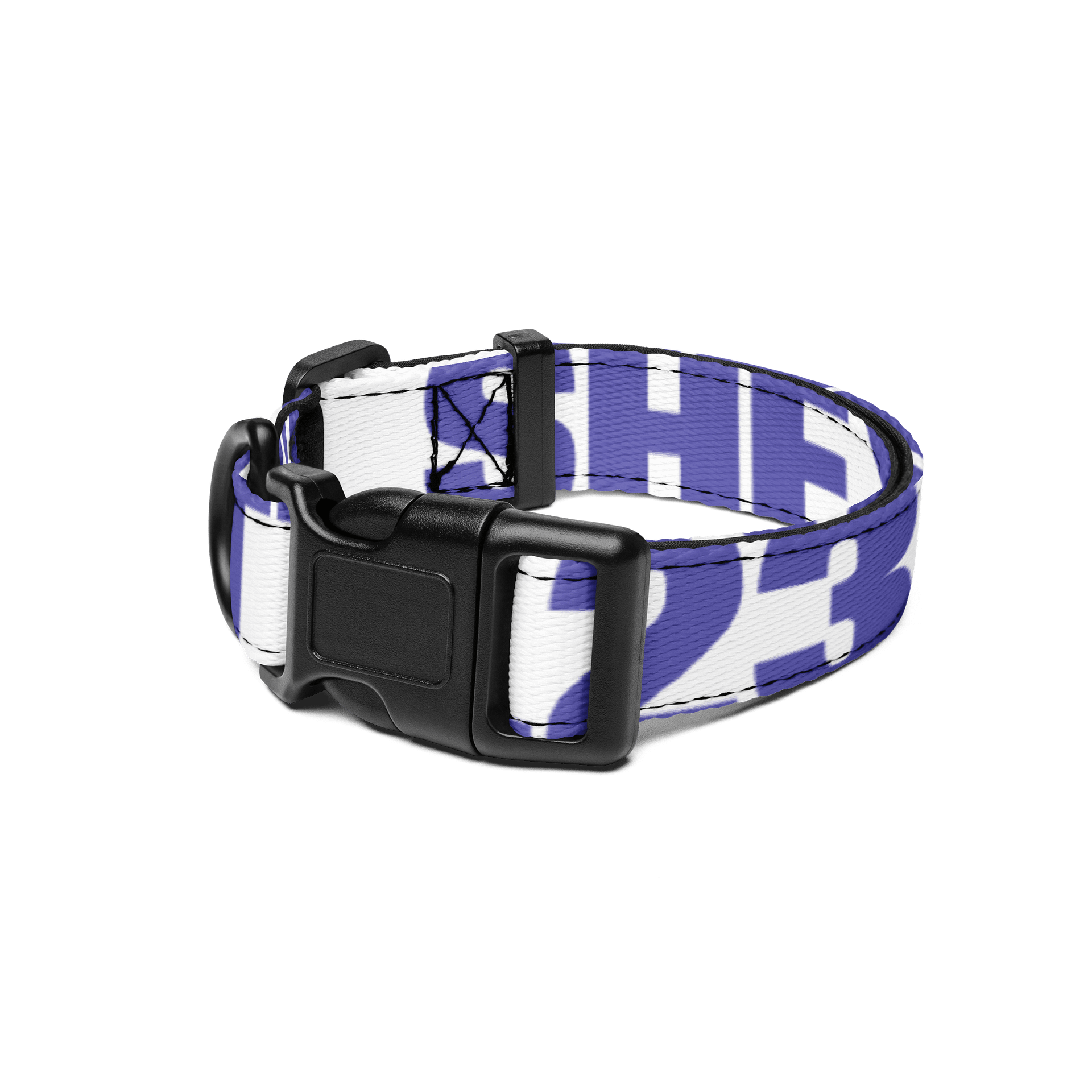 pet collar product image (1)