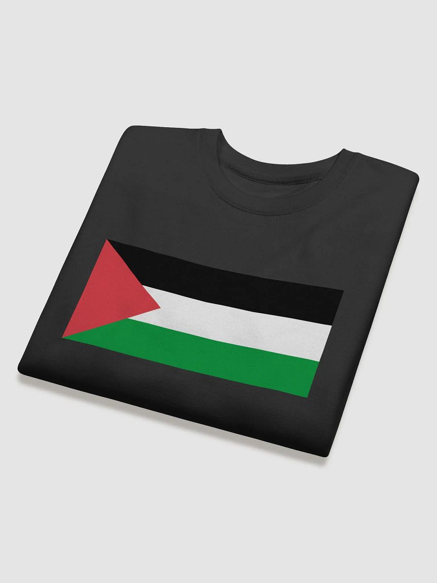 Palestine Long Sleeve - Big Flag product image (4)